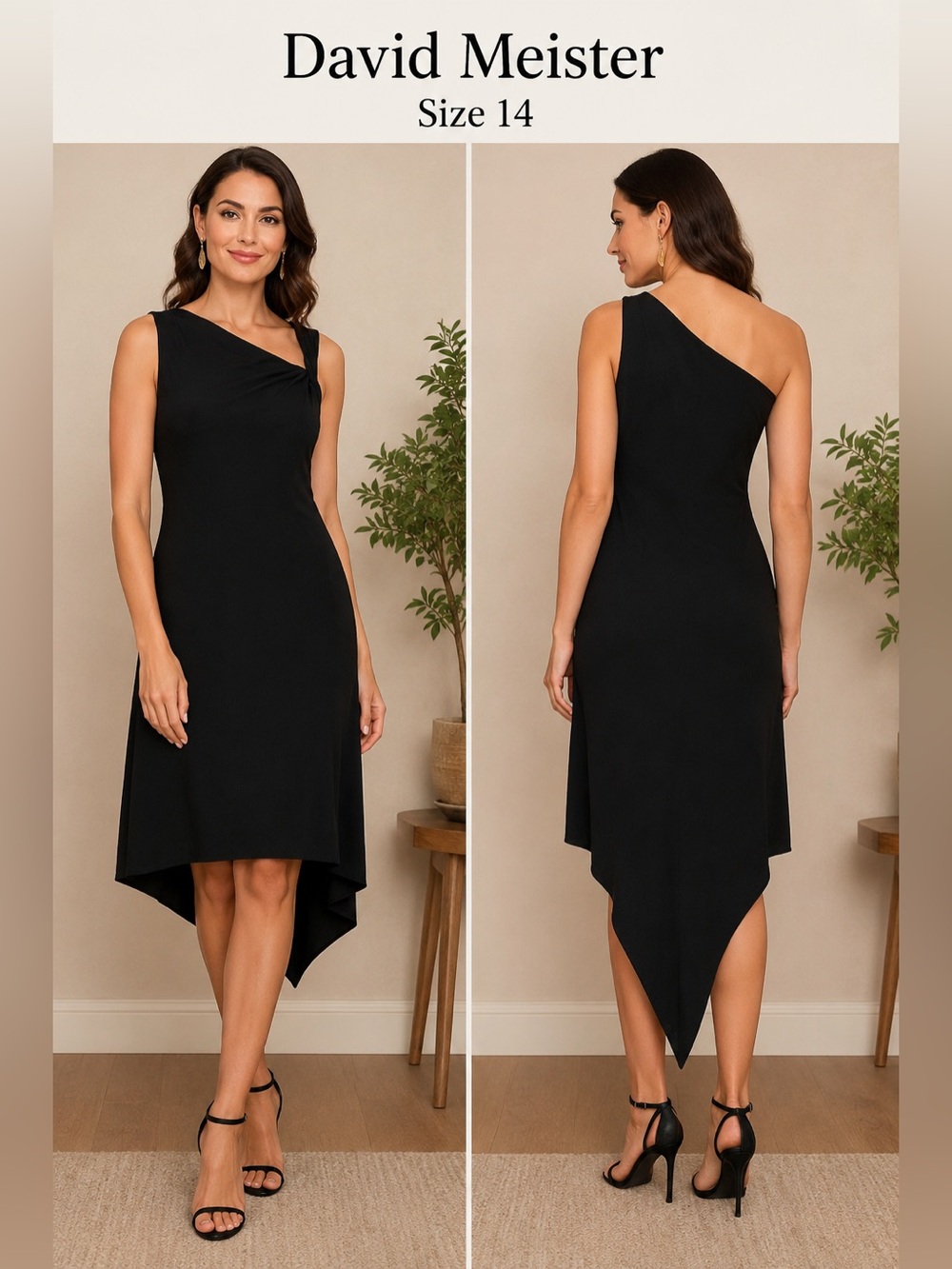DAVID MEISTER Gorgeous Black showstopper for prom or a special event. Size 14